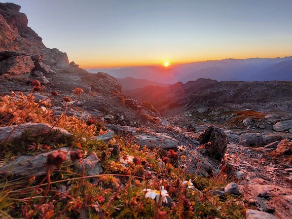 Rastkogel im Herbst Sonne knapp über dem Grat am Rastkogel in Tux, im Vordergrund Felsen und herbstrot gefärbte Zwergsträucher.